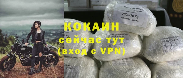 метадон Гусев